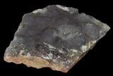 Botryoidal Purple Fluorite - Fremont County, Colorado #118569-1